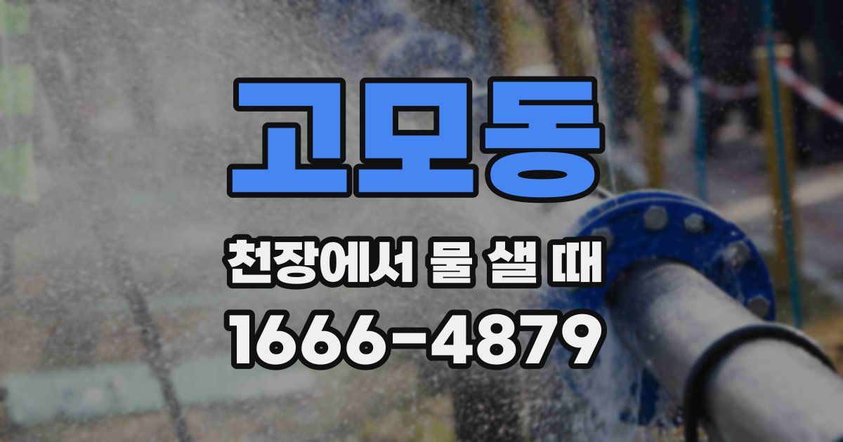 고모동 천장에서 물 샐 때
