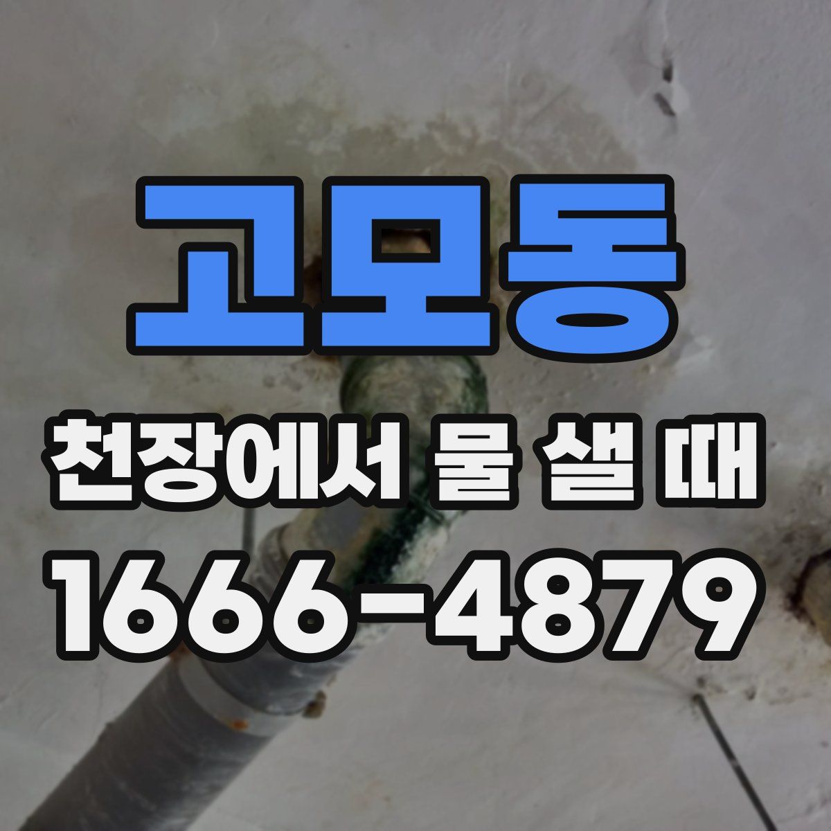 고모동 천장에서 물 샐 때