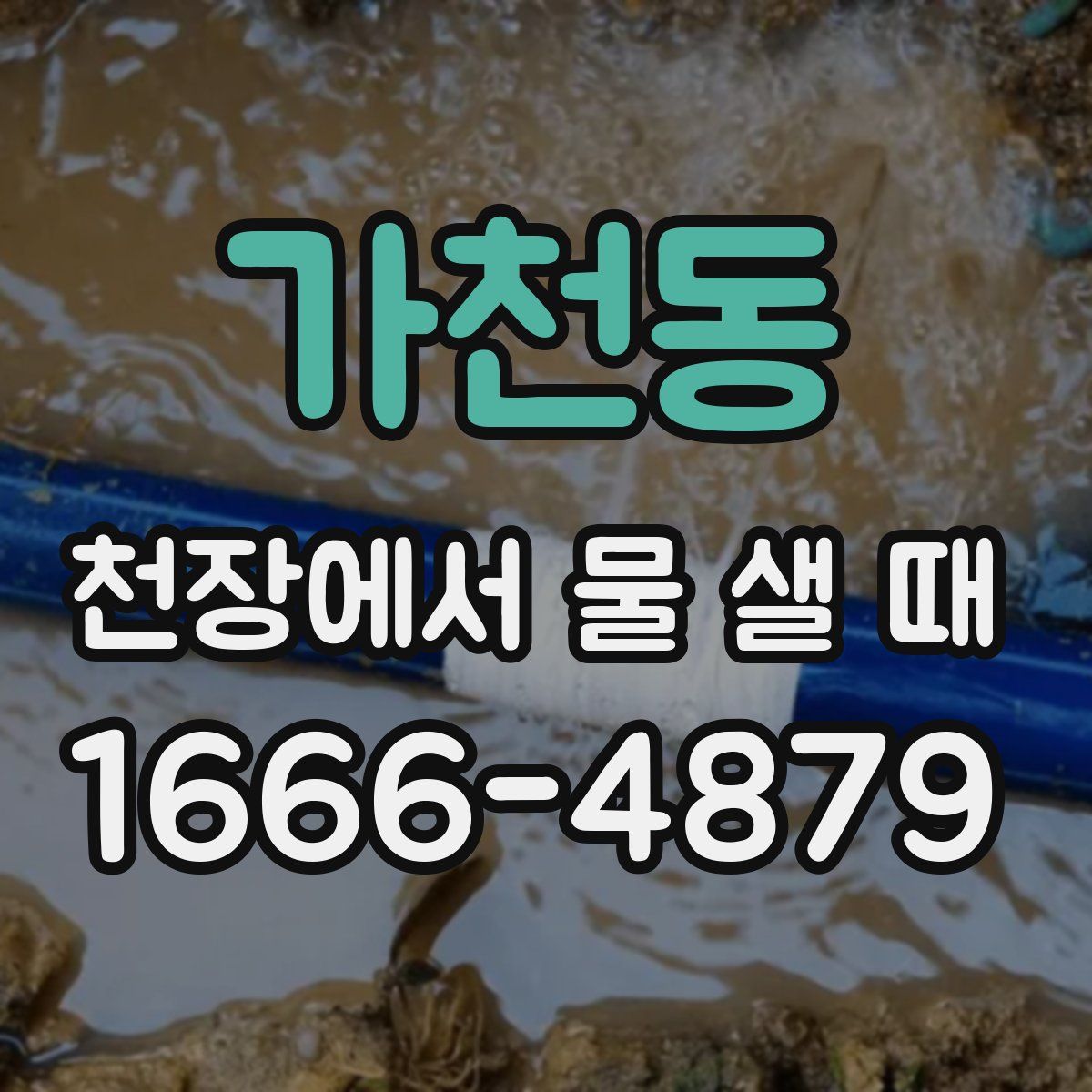 가천동 천장에서 물 샐 때