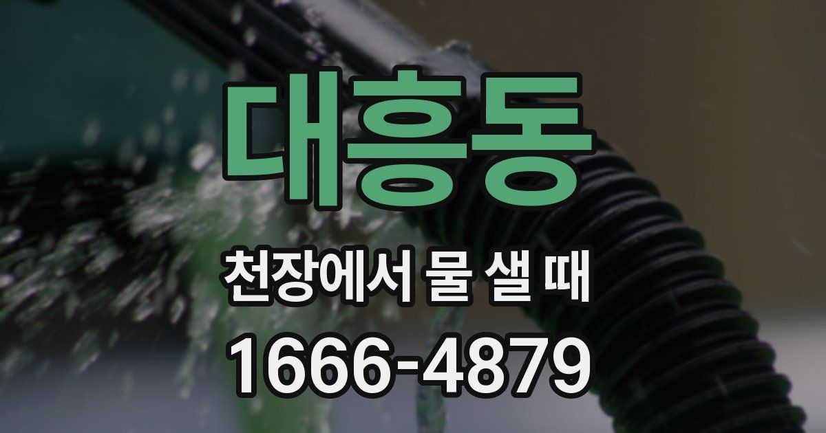 대흥동 천장에서 물 샐 때