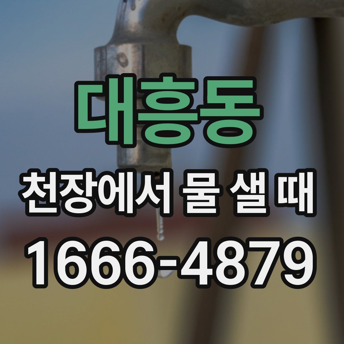 대흥동 천장에서 물 샐 때