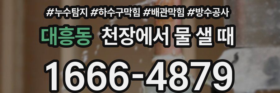 대흥동 천장에서 물 샐 때