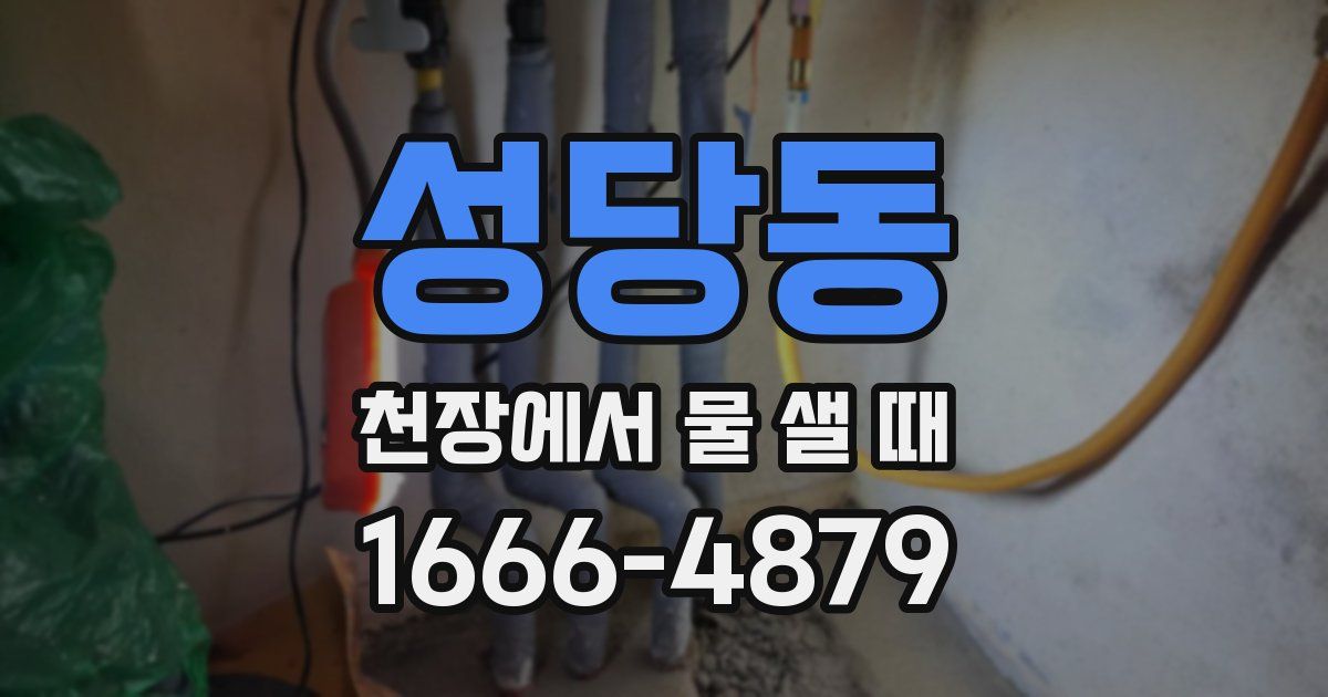 성당동 천장에서 물 샐 때