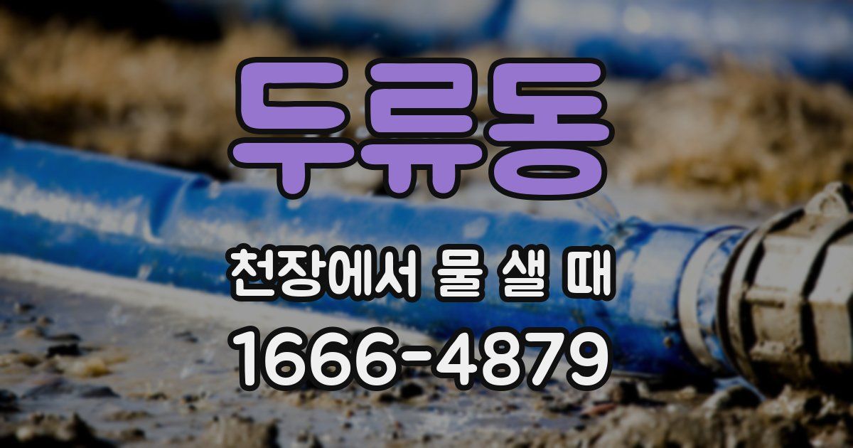 두류동 천장에서 물 샐 때