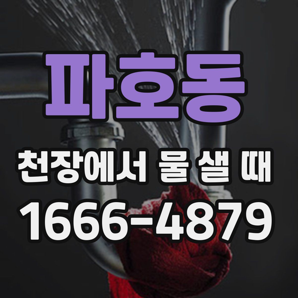파호동 천장에서 물 샐 때