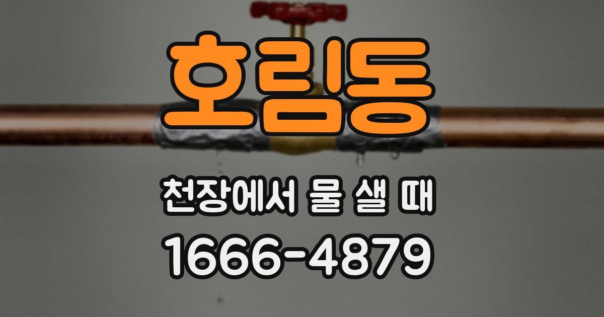 호림동 천장에서 물 샐 때
