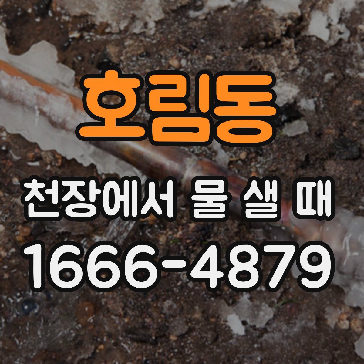호림동 천장에서 물 샐 때