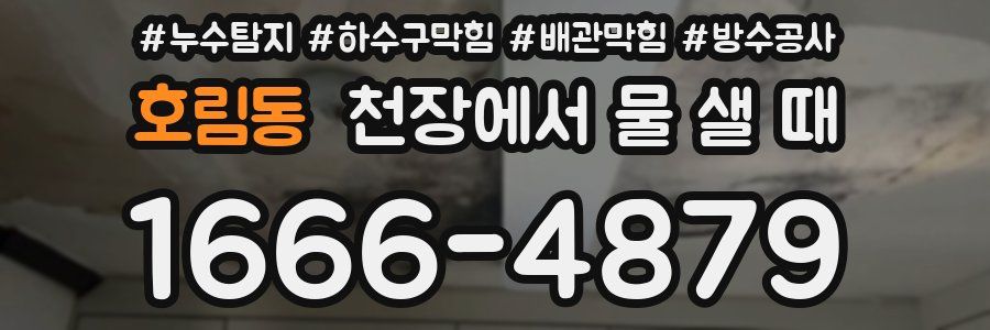 호림동 천장에서 물 샐 때