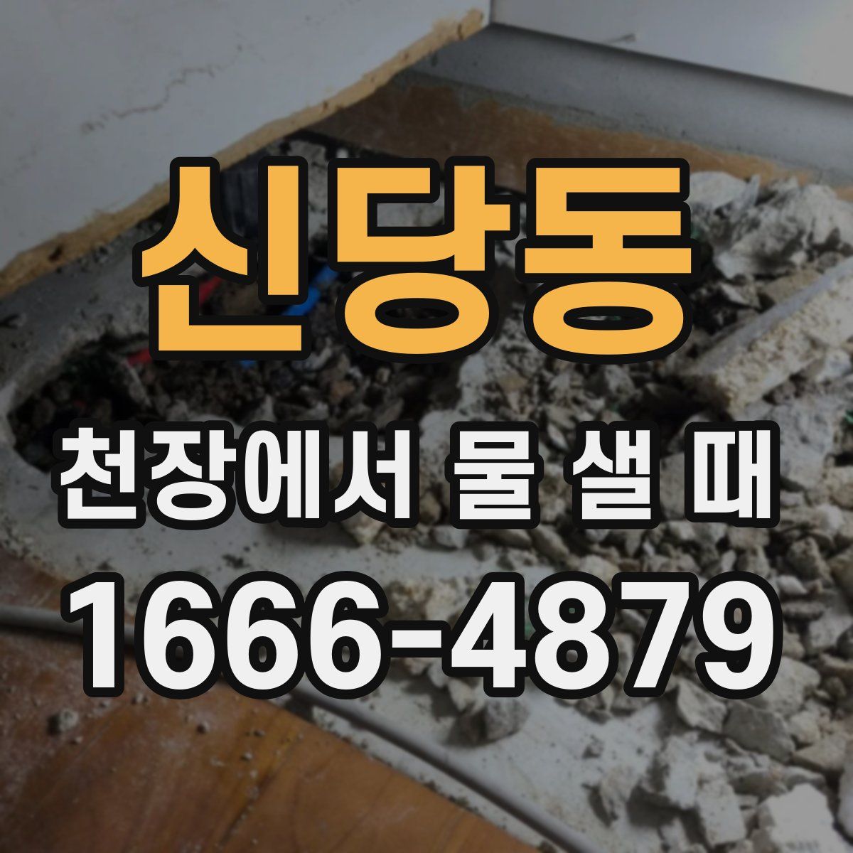 신당동 천장에서 물 샐 때