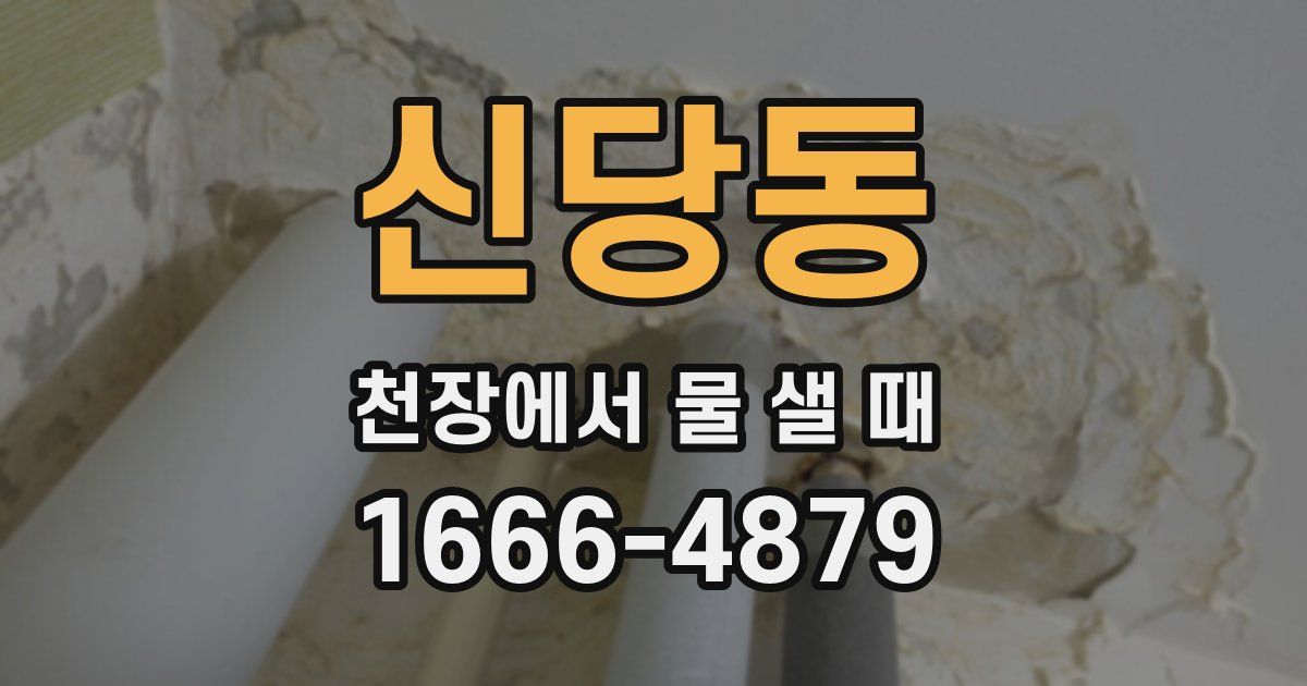 신당동 천장에서 물 샐 때