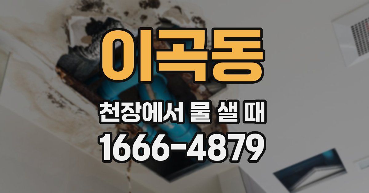 이곡동 천장에서 물 샐 때