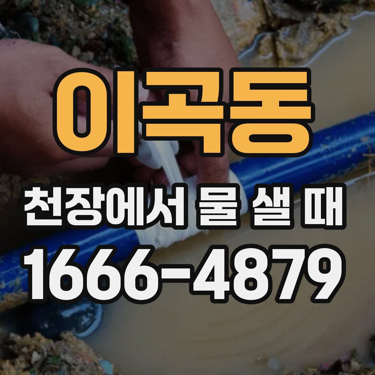 이곡동 천장에서 물 샐 때