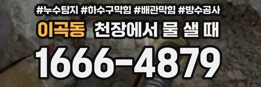 이곡동 천장에서 물 샐 때