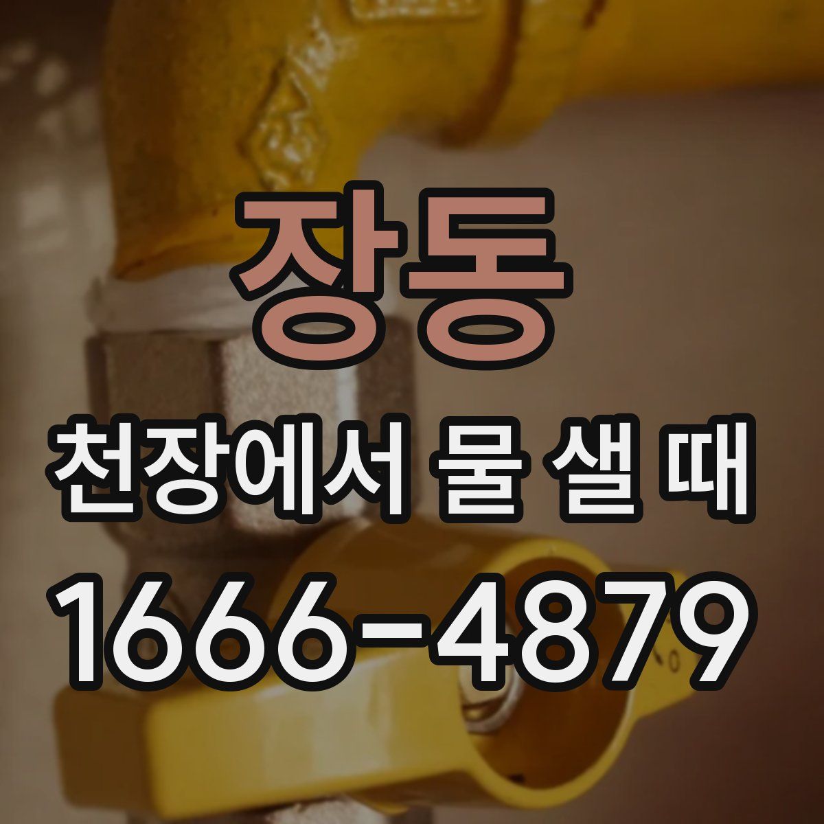 장동 천장에서 물 샐 때