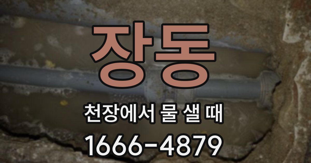 장동 천장에서 물 샐 때