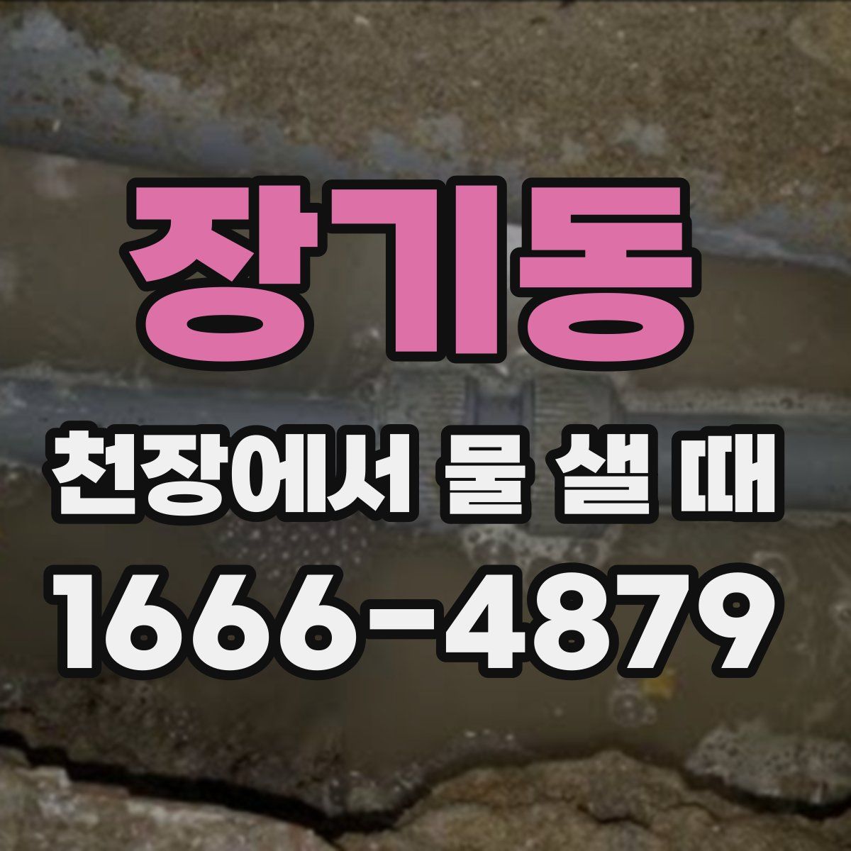 장기동 천장에서 물 샐 때