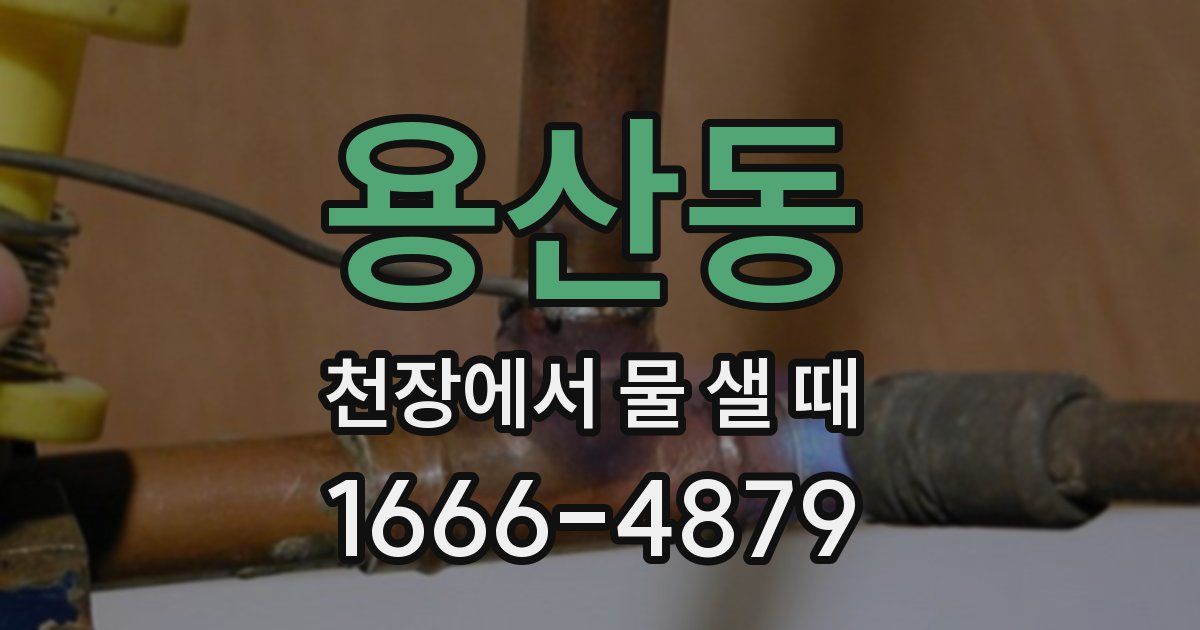 용산동 천장에서 물 샐 때
