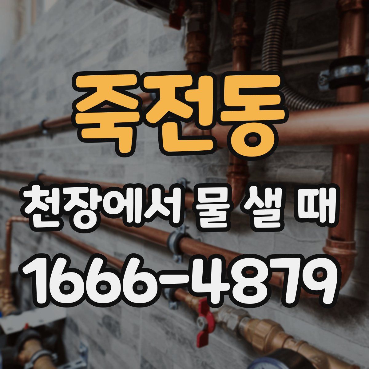 죽전동 천장에서 물 샐 때