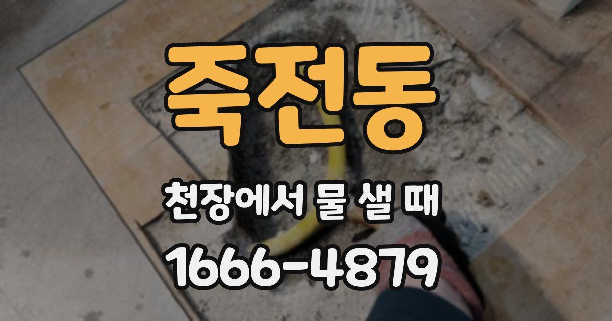 죽전동 천장에서 물 샐 때