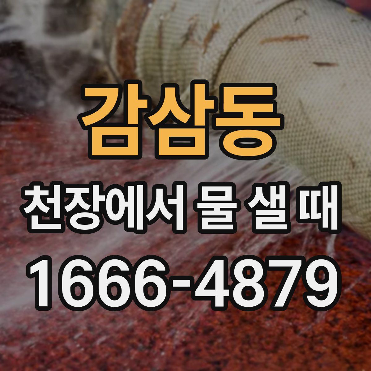 감삼동 천장에서 물 샐 때