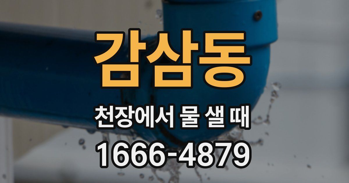 감삼동 천장에서 물 샐 때
