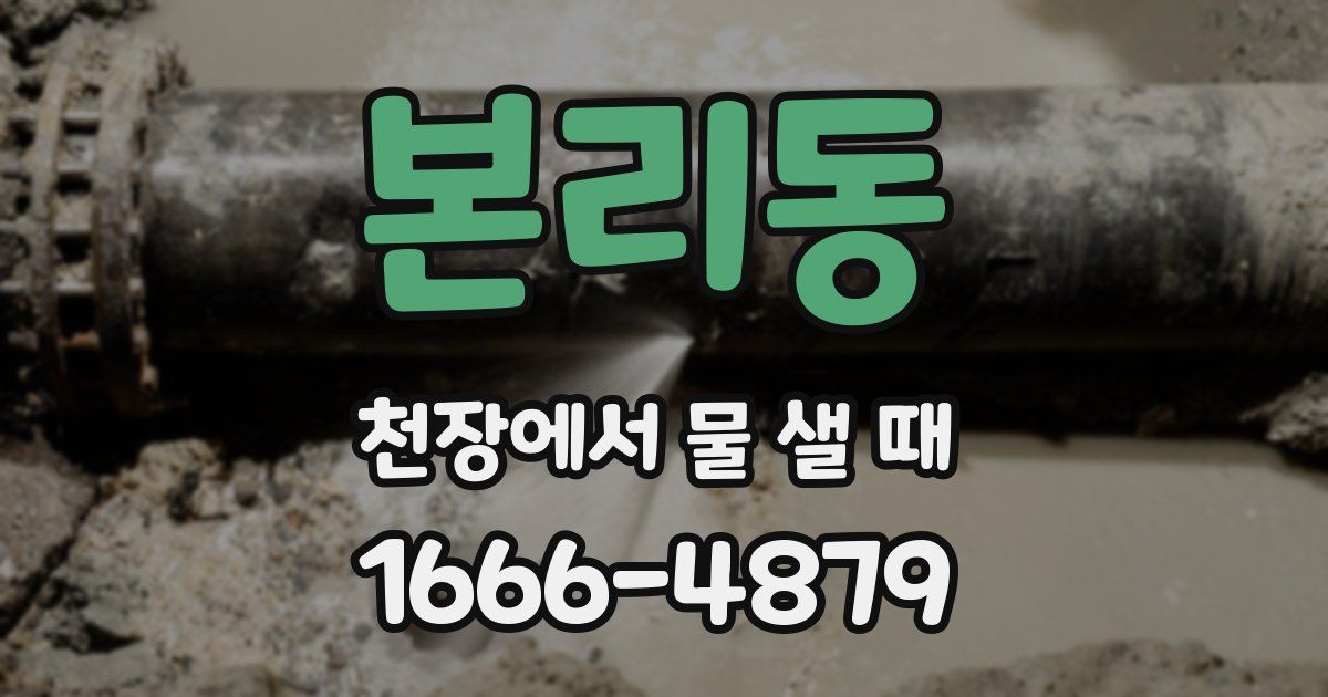 본리동 천장에서 물 샐 때