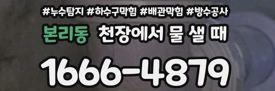 본리동 천장에서 물 샐 때