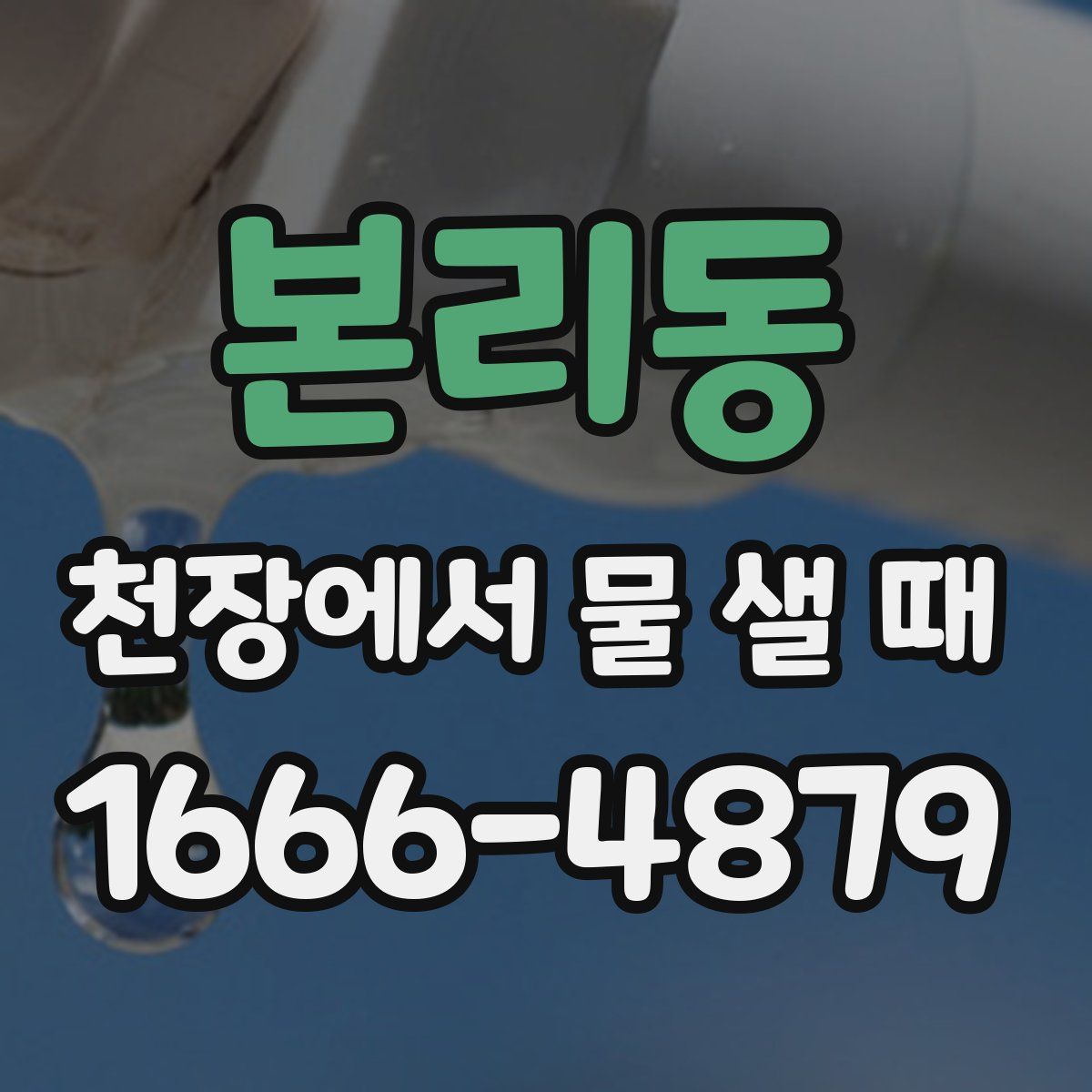 본리동 천장에서 물 샐 때