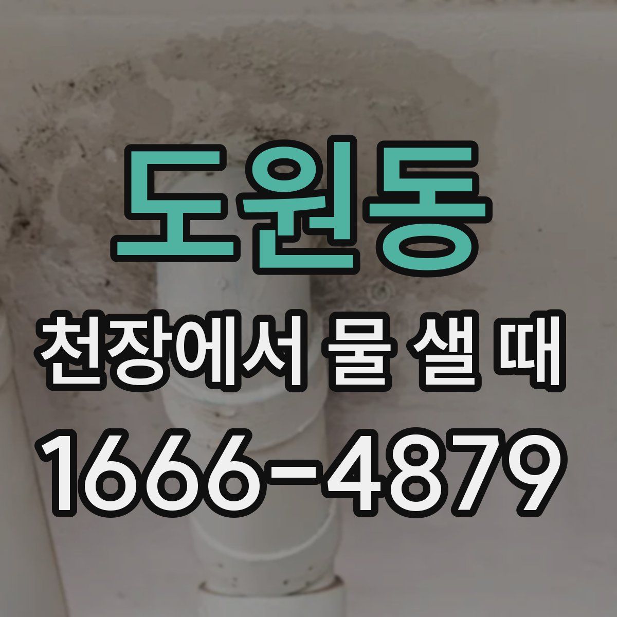 도원동 천장에서 물 샐 때