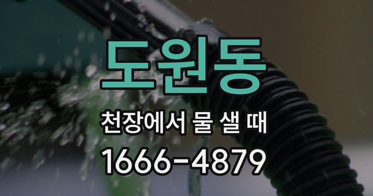 도원동 천장에서 물 샐 때