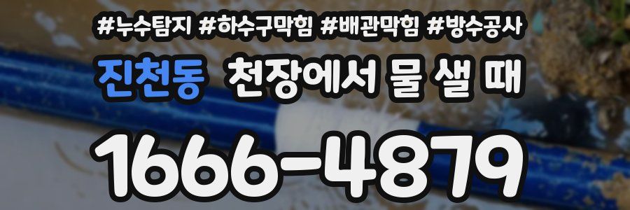 진천동 천장에서 물 샐 때