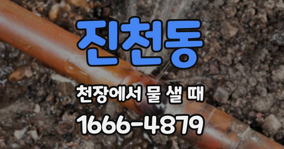 진천동 천장에서 물 샐 때