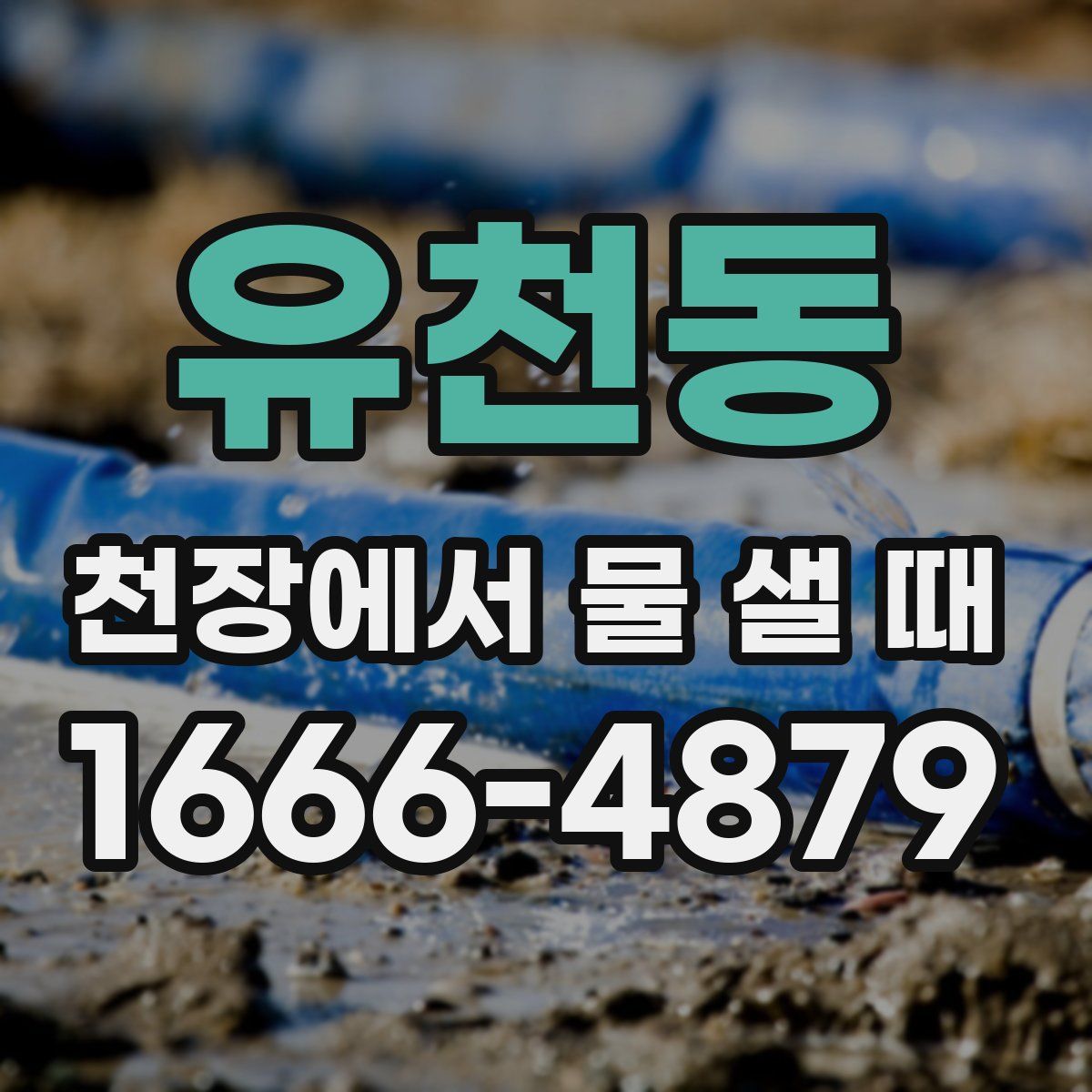 유천동 천장에서 물 샐 때