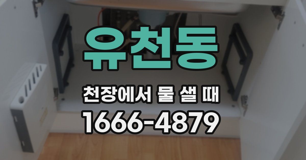 유천동 천장에서 물 샐 때