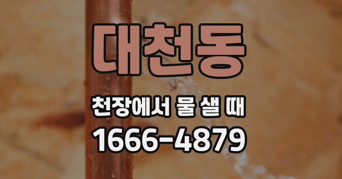 대천동 천장에서 물 샐 때