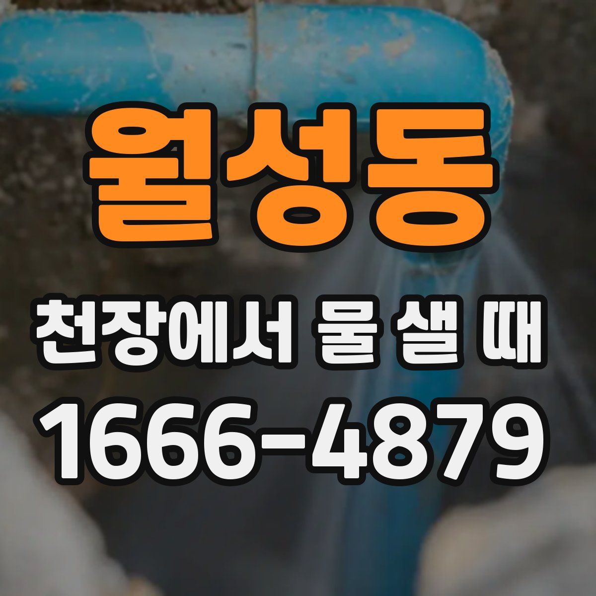 월성동 천장에서 물 샐 때