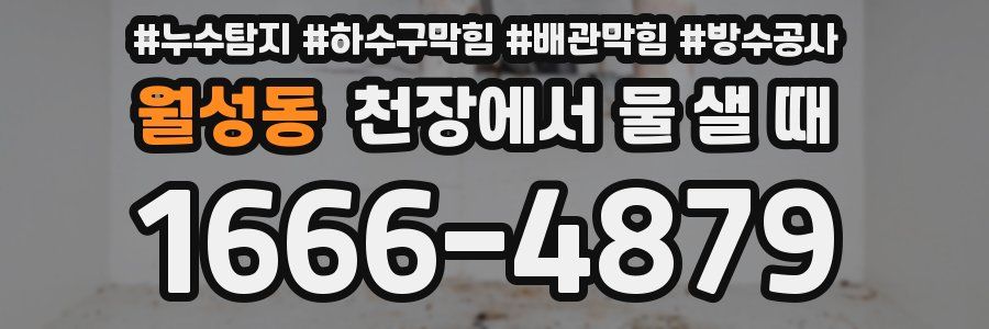 월성동 천장에서 물 샐 때