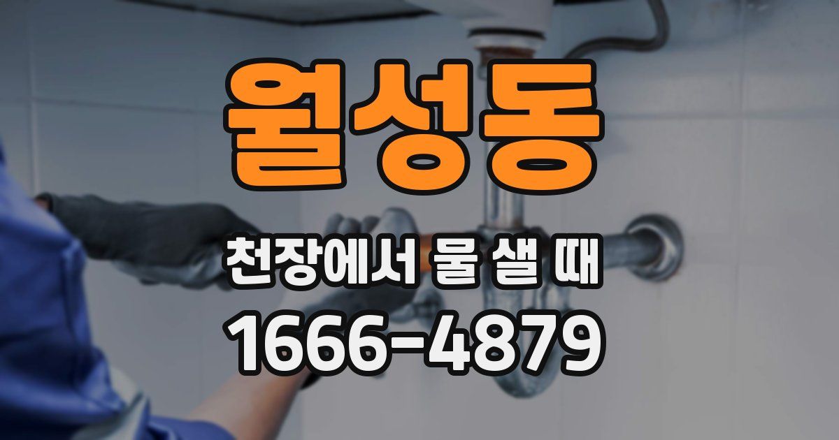 월성동 천장에서 물 샐 때