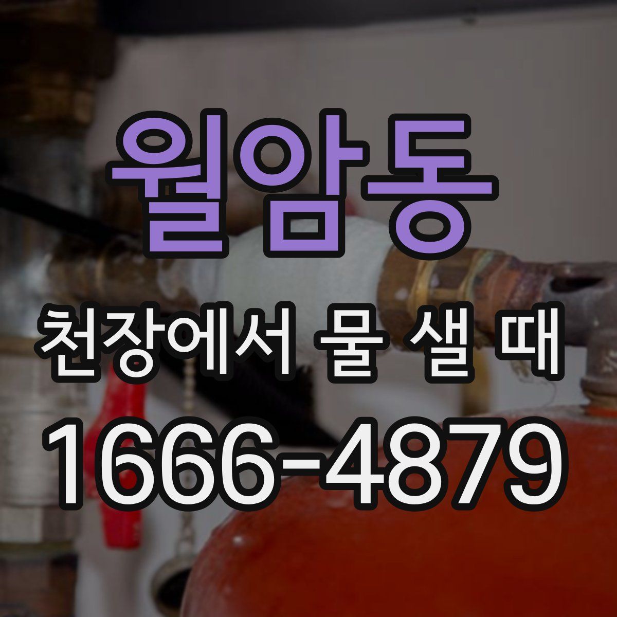월암동 천장에서 물 샐 때