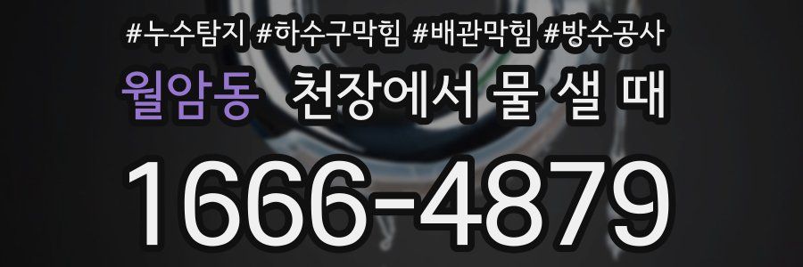 월암동 천장에서 물 샐 때