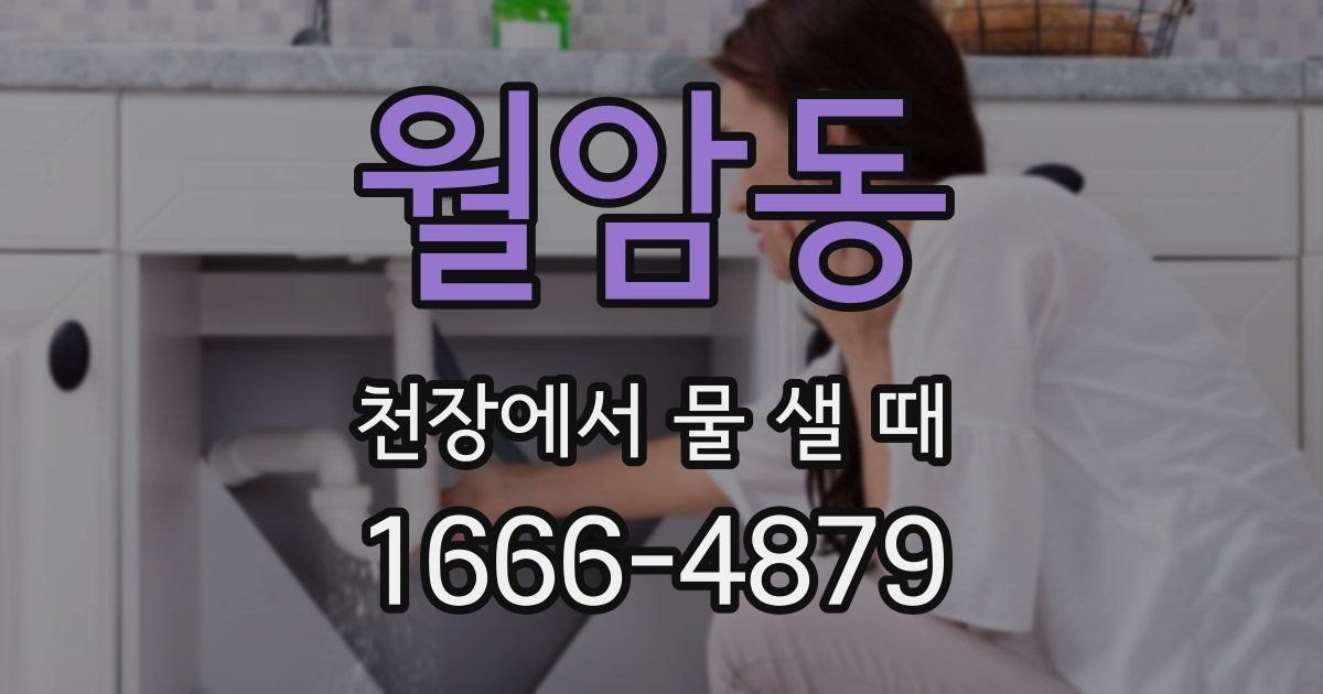 월암동 천장에서 물 샐 때