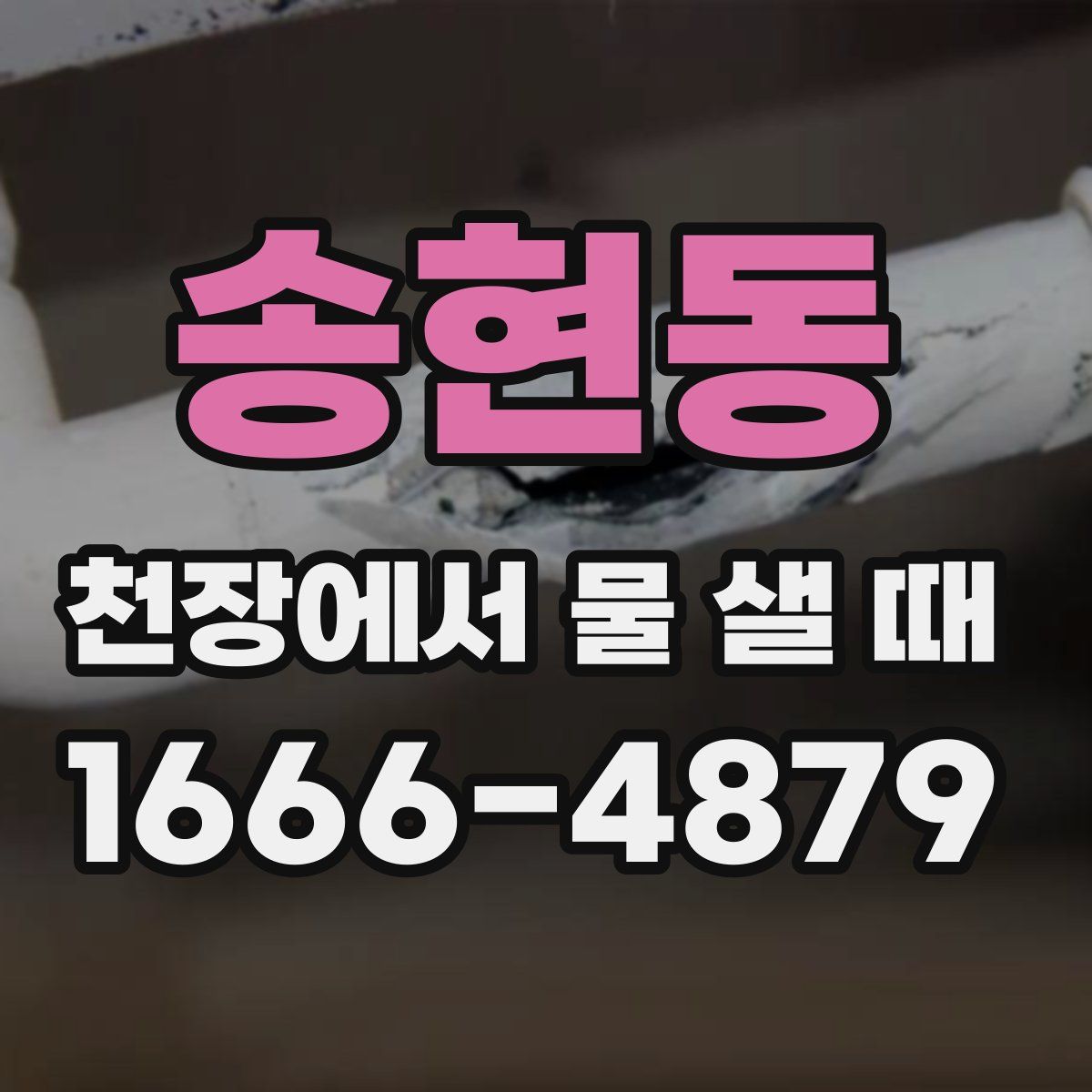 송현동 천장에서 물 샐 때
