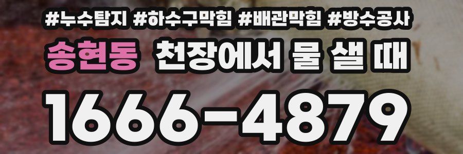 송현동 천장에서 물 샐 때