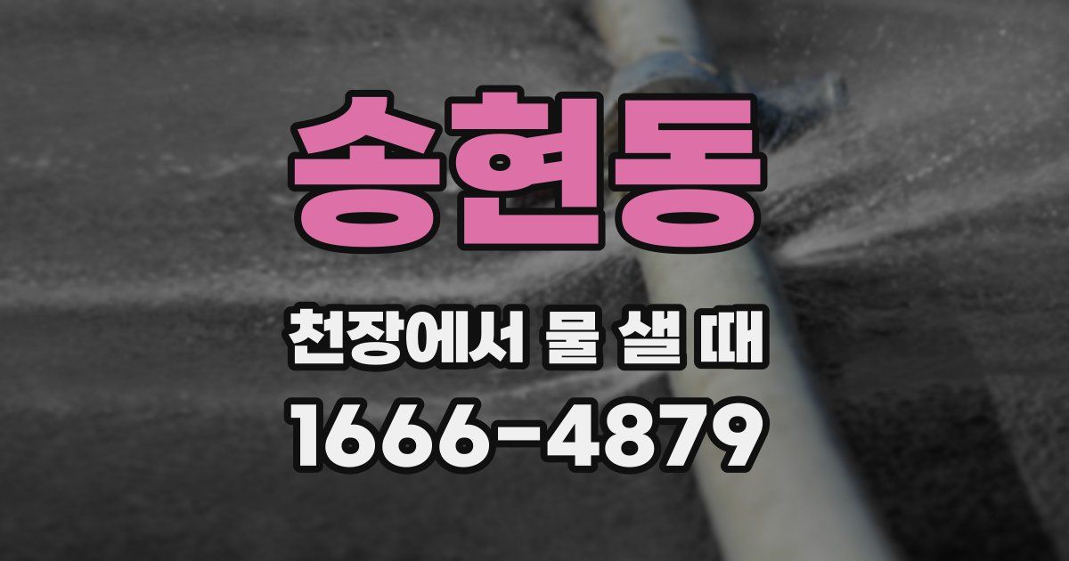 송현동 천장에서 물 샐 때