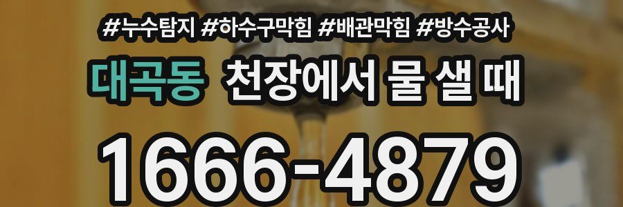 대곡동 천장에서 물 샐 때