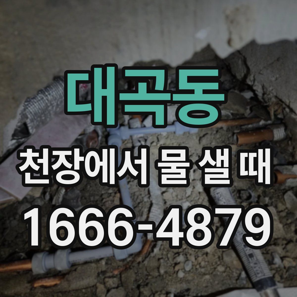 대곡동 천장에서 물 샐 때