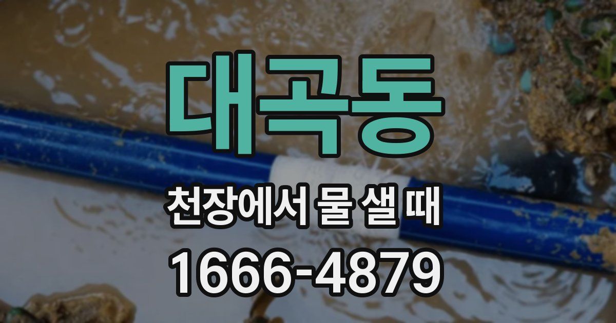 대곡동 천장에서 물 샐 때