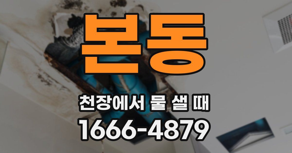 본동 천장에서 물 샐 때