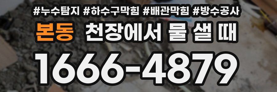 본동 천장에서 물 샐 때