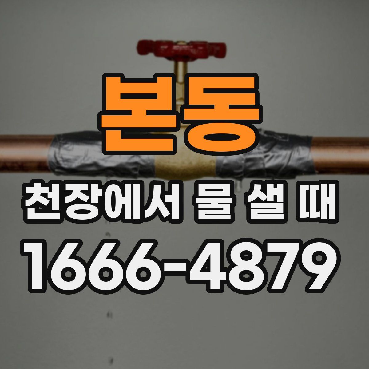 본동 천장에서 물 샐 때